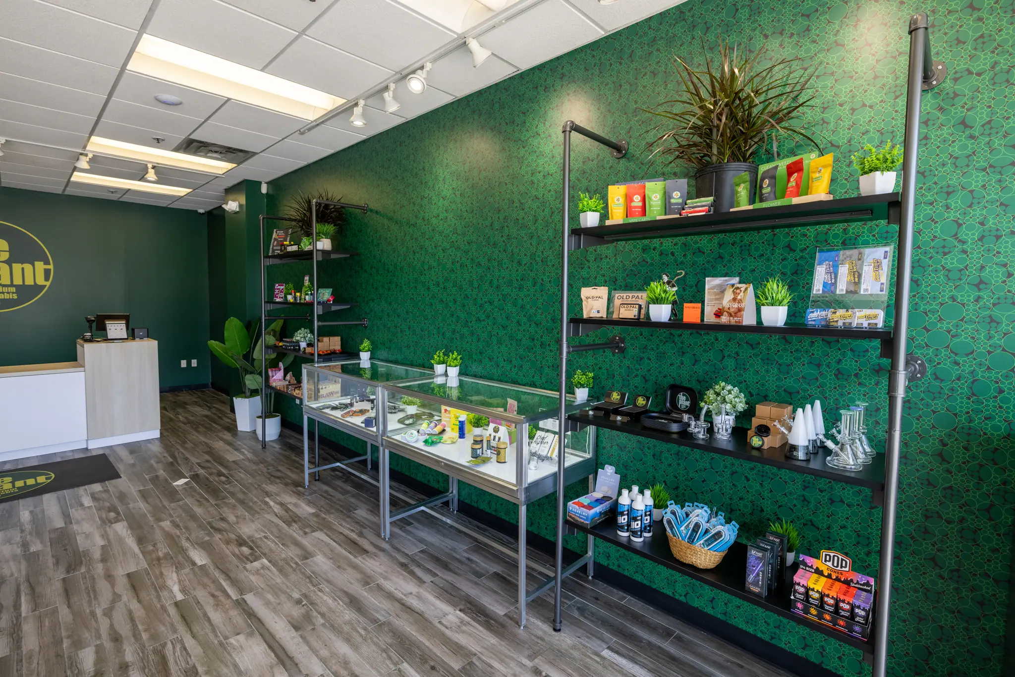 Yonkers, NY Dispensary Near You  The Plant