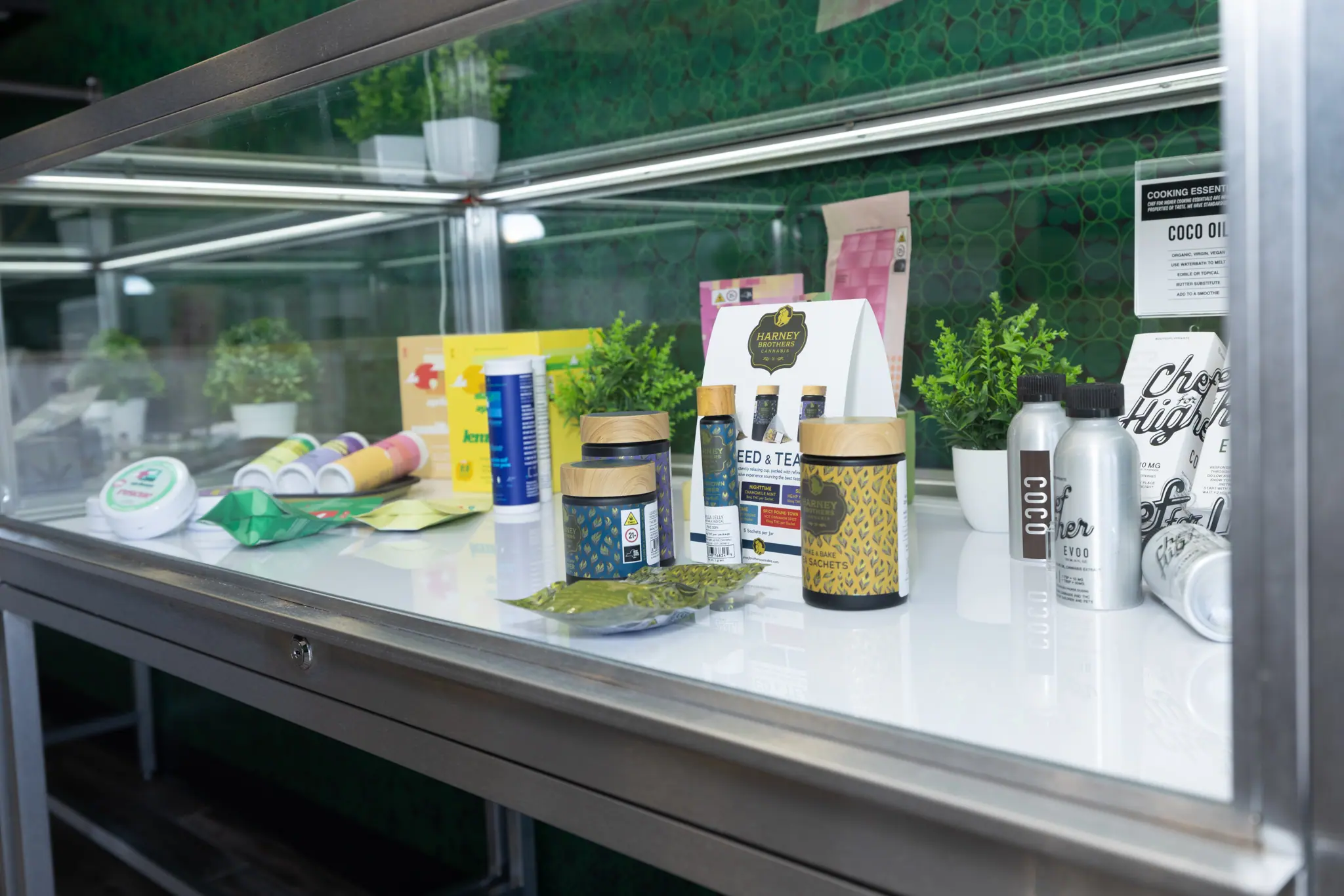 Yonkers, NY Dispensary Near You  The Plant