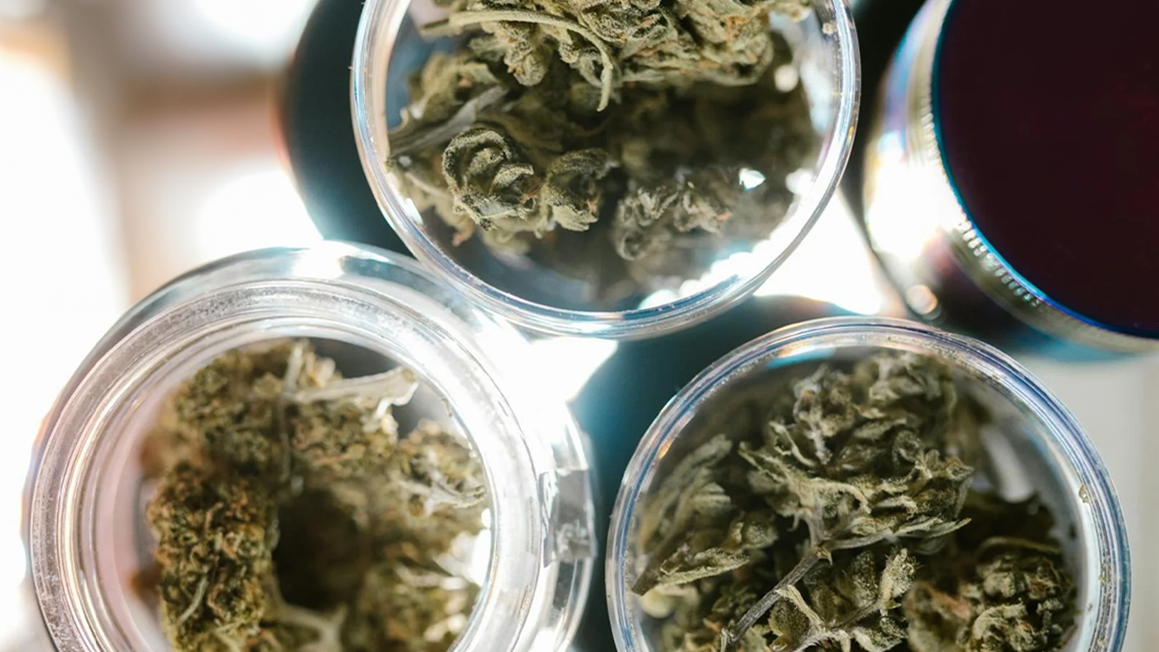 Overhead view of cannabis buds stored in clear jars, highlighting the diverse strains of sativa, indica, and hybrid available at The Plant dispensary.